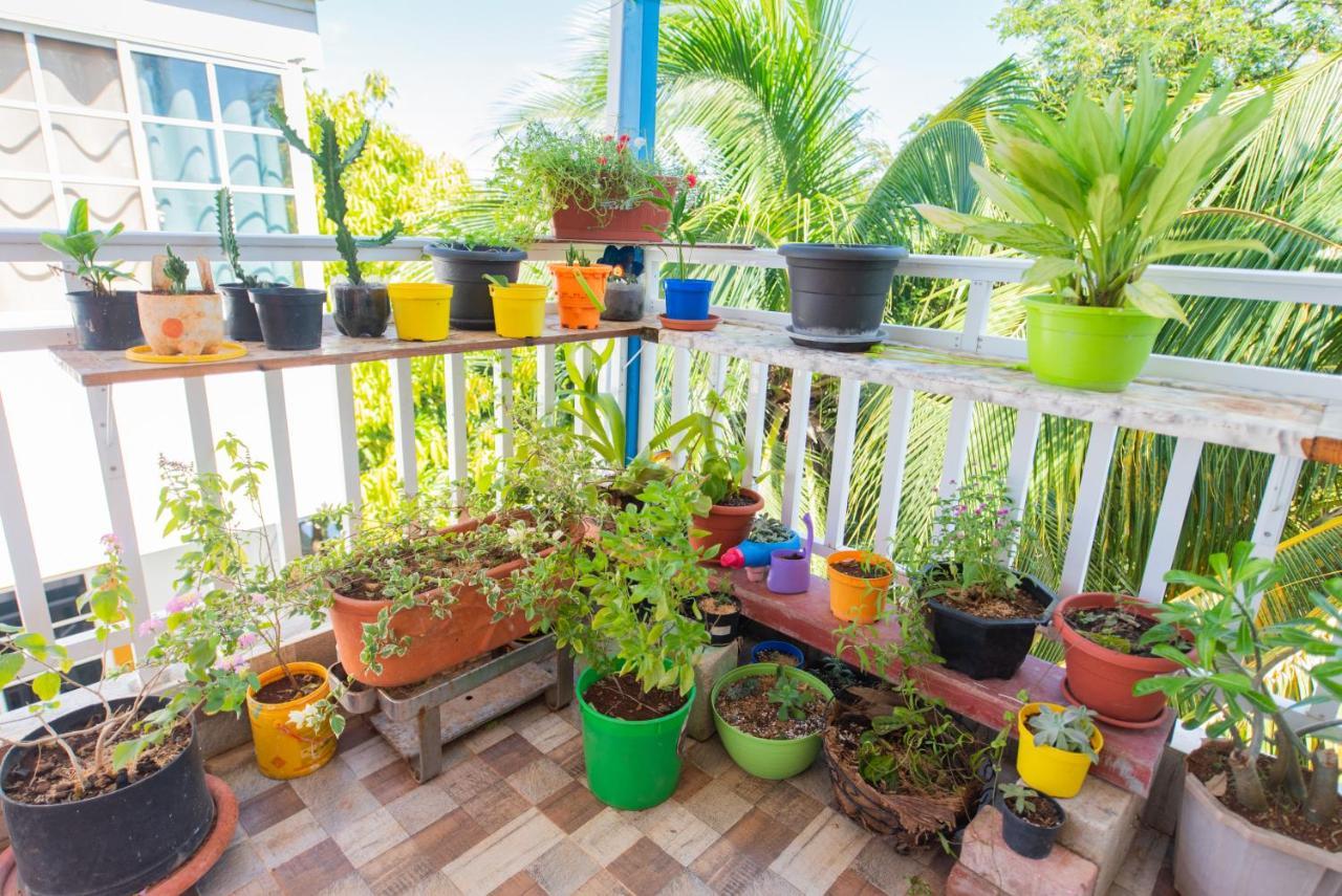 Apartamentos Turisticos El Conquistador San Andrés 外观 照片